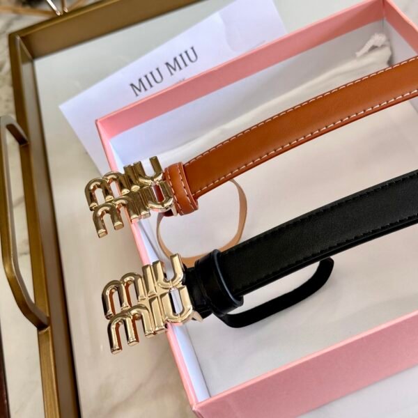 MiuMiu Black and Brown Belt