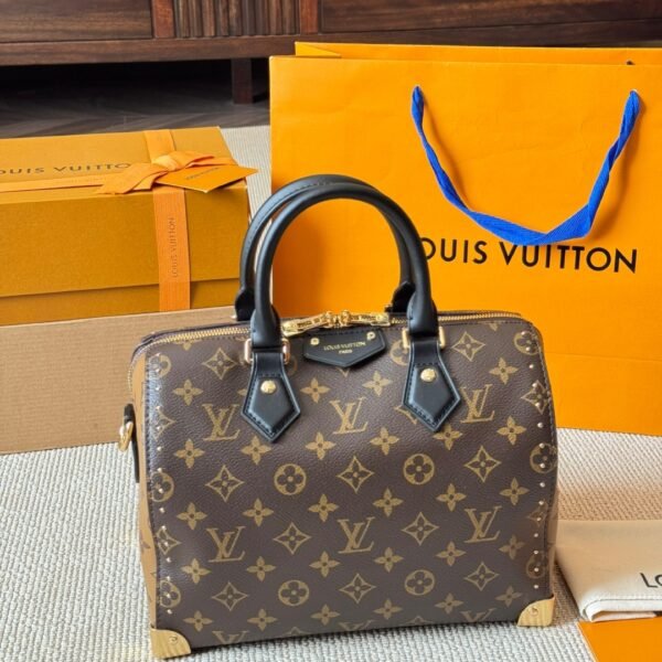 Louis Vuitton Speedy 25 Trunk