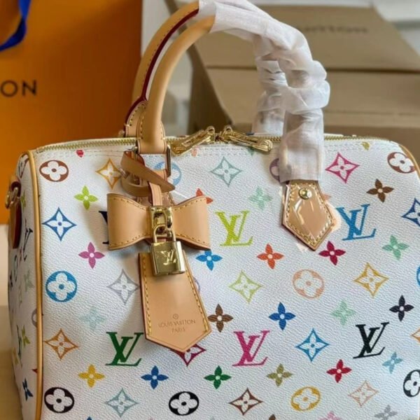 Louis Vuitton Speedy Pillow Bag