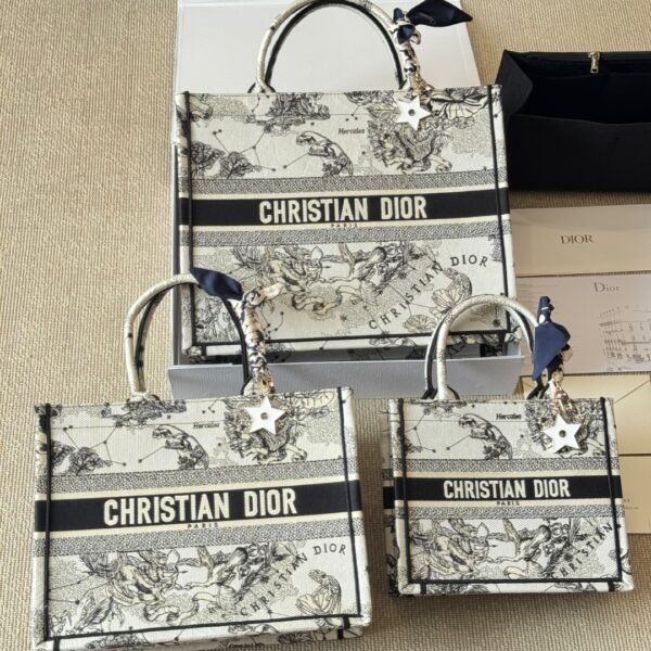 Dior Book Tote Bag
