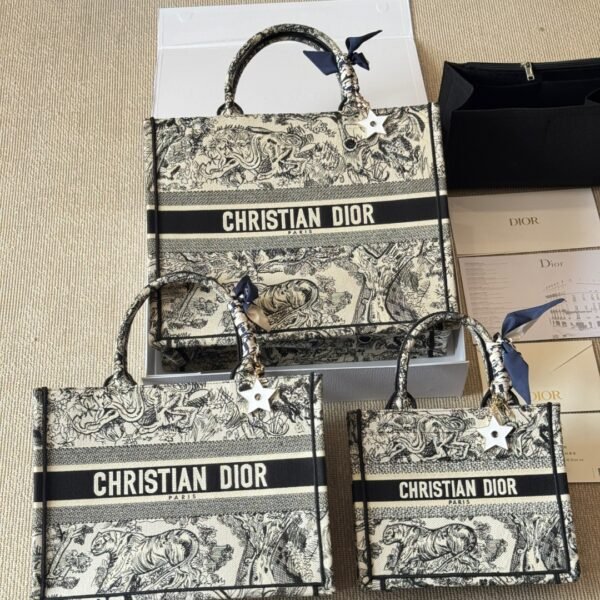 Dior Book Tote Bag