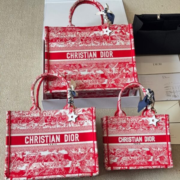 Dior Book Tote Bag