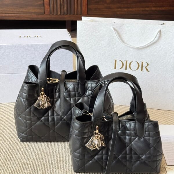Dior Toujours Bag