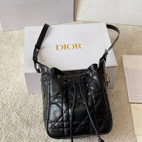 Dior D-Motion Bag
