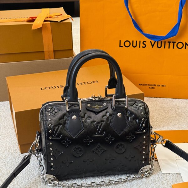 LV Speedy 20 Bag